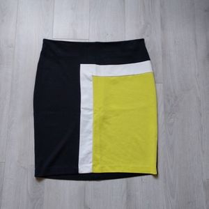 Morena Stretchy Colorblock Skirt